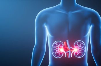 Нирка, чому болять нирки, як болять нирки